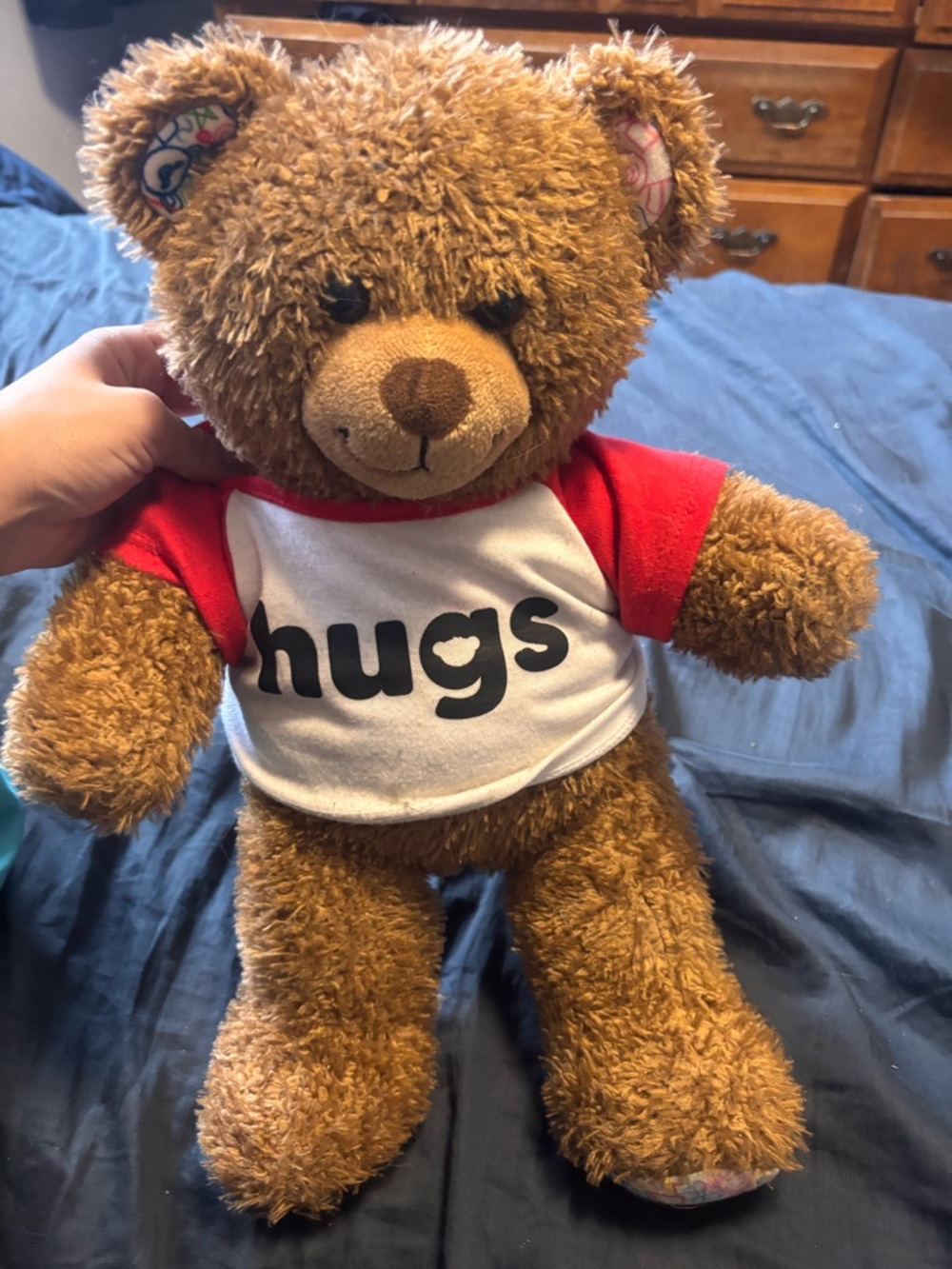 Build A Bear Hearts n Hugs Doodle Paws Brown Bear W/ Hugs Outfit Plush  16"